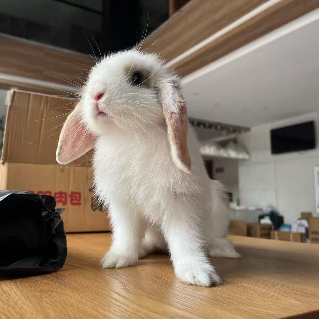 睡不醒😵‍💫