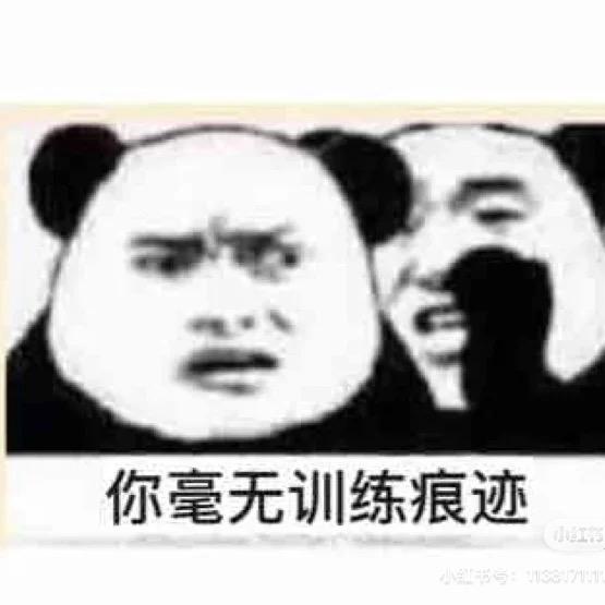哈哈哈哈哈哈
