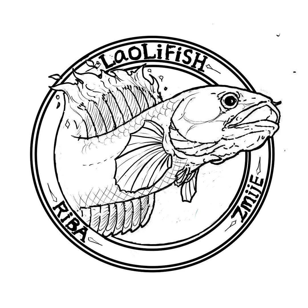 老李的Fish