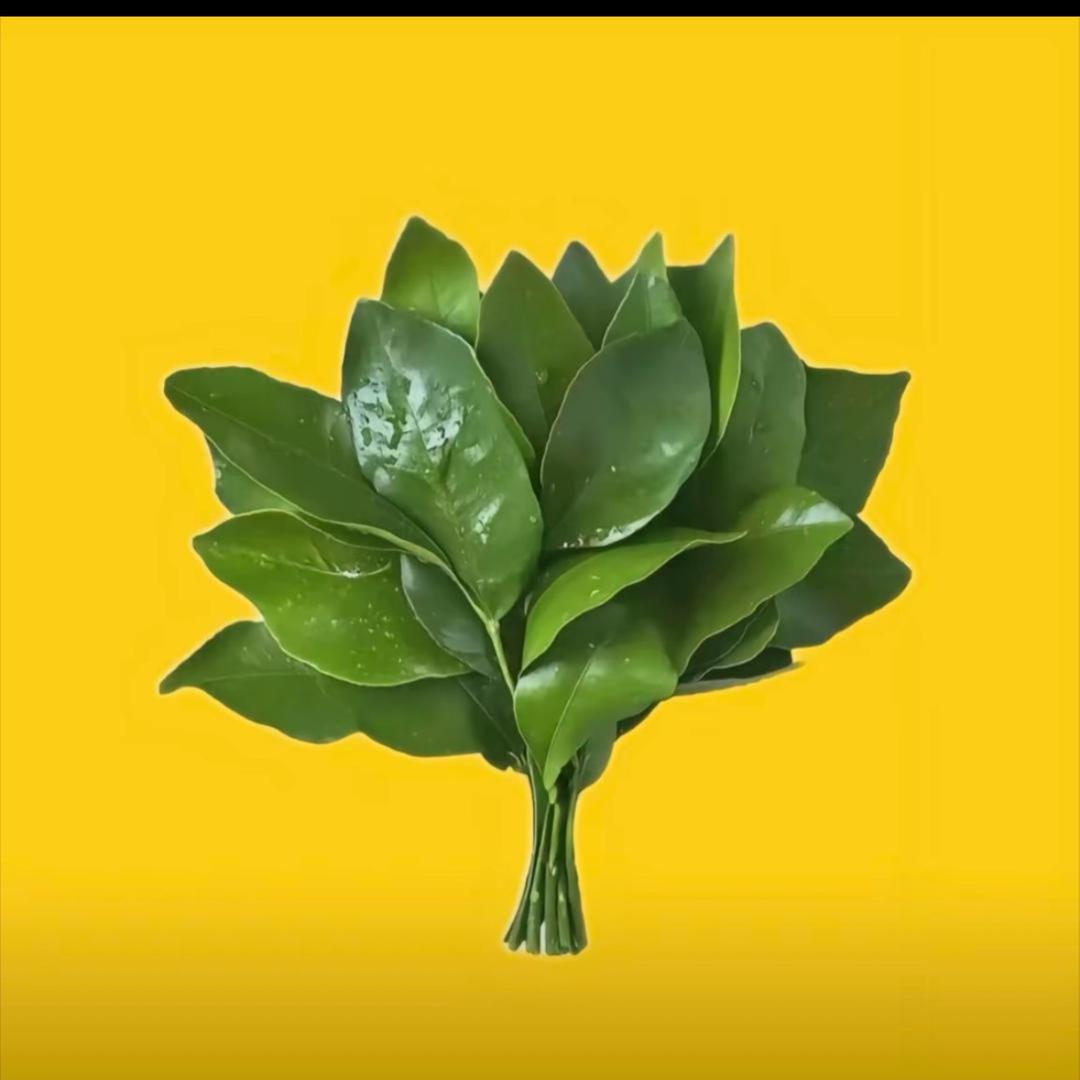 花开富贵$