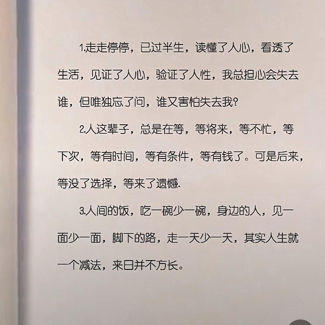 可爱小李子
