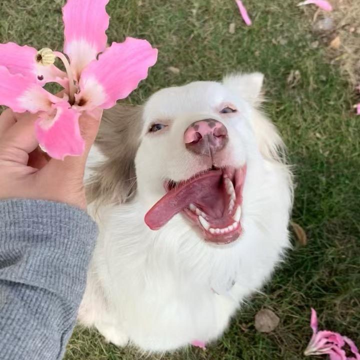 富贵到家