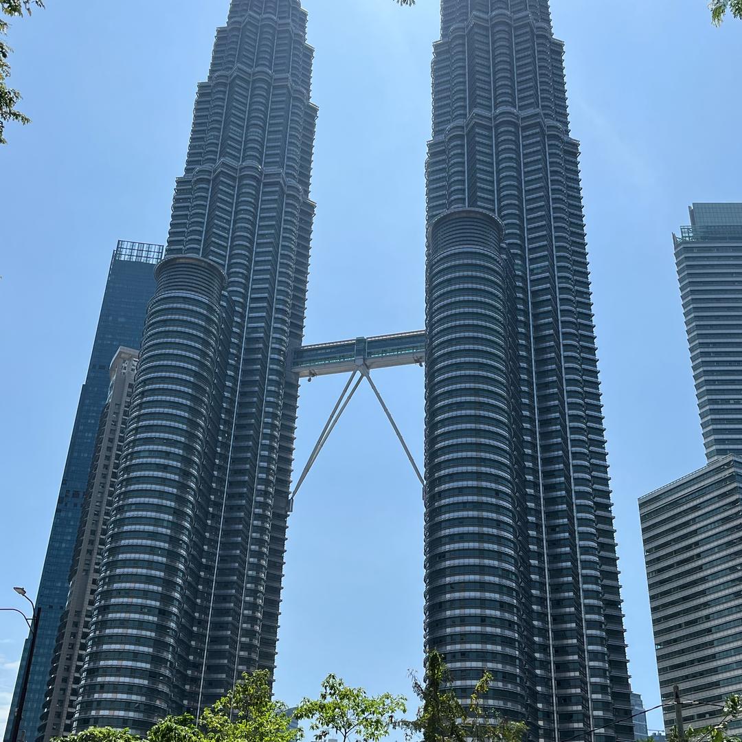 爱研究美食的叶子