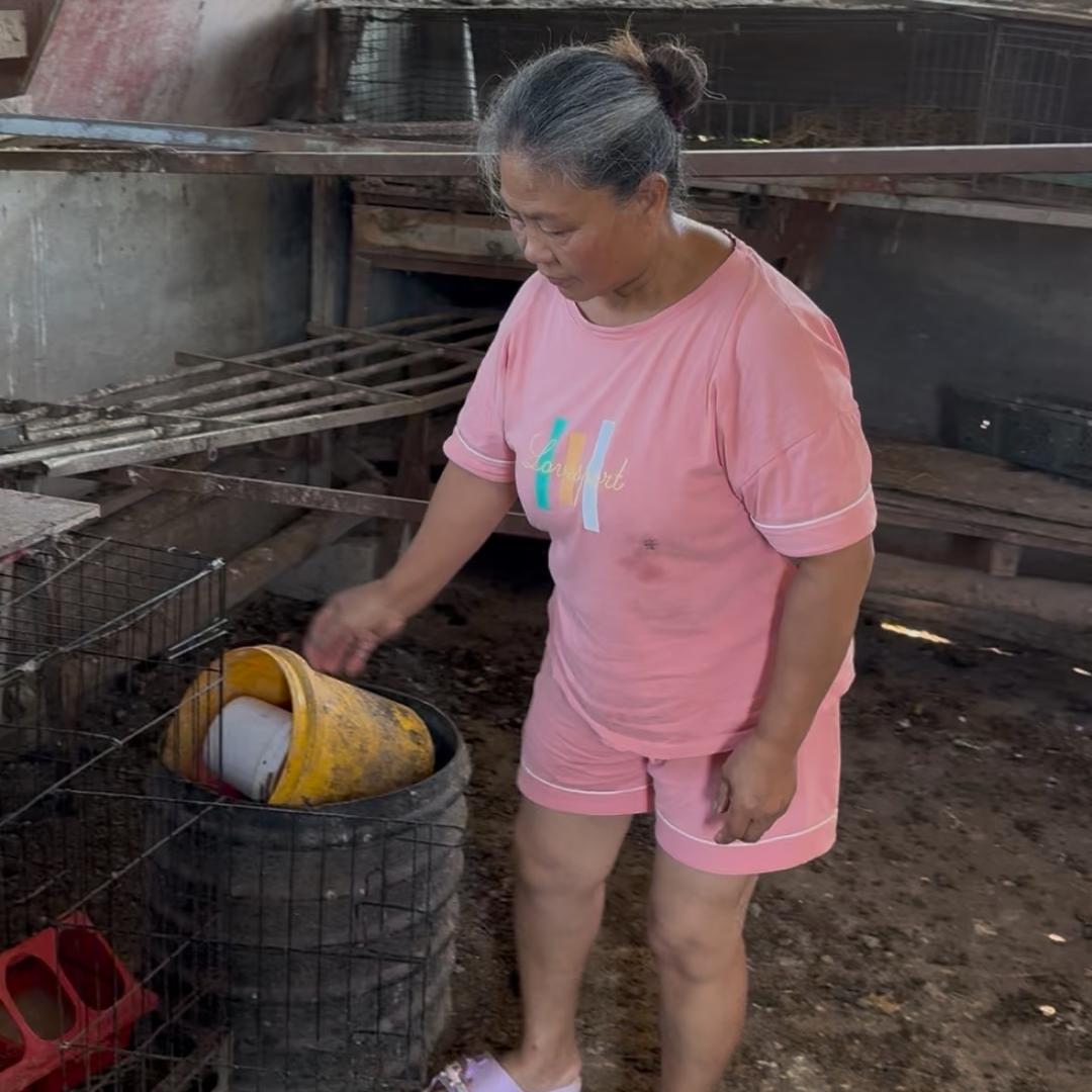邓大姐的农村记录