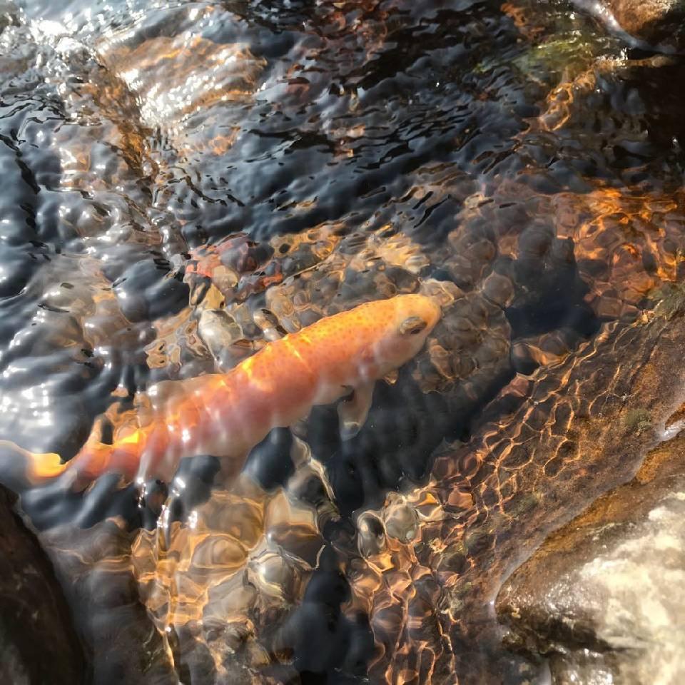 暮冬爱钓鱼🎣