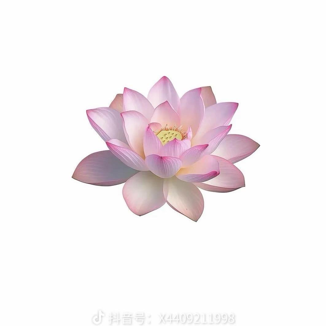 二宝日常
