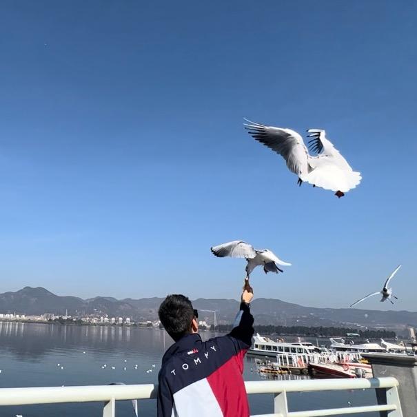 阿维。