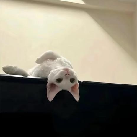 Guo郭🐇