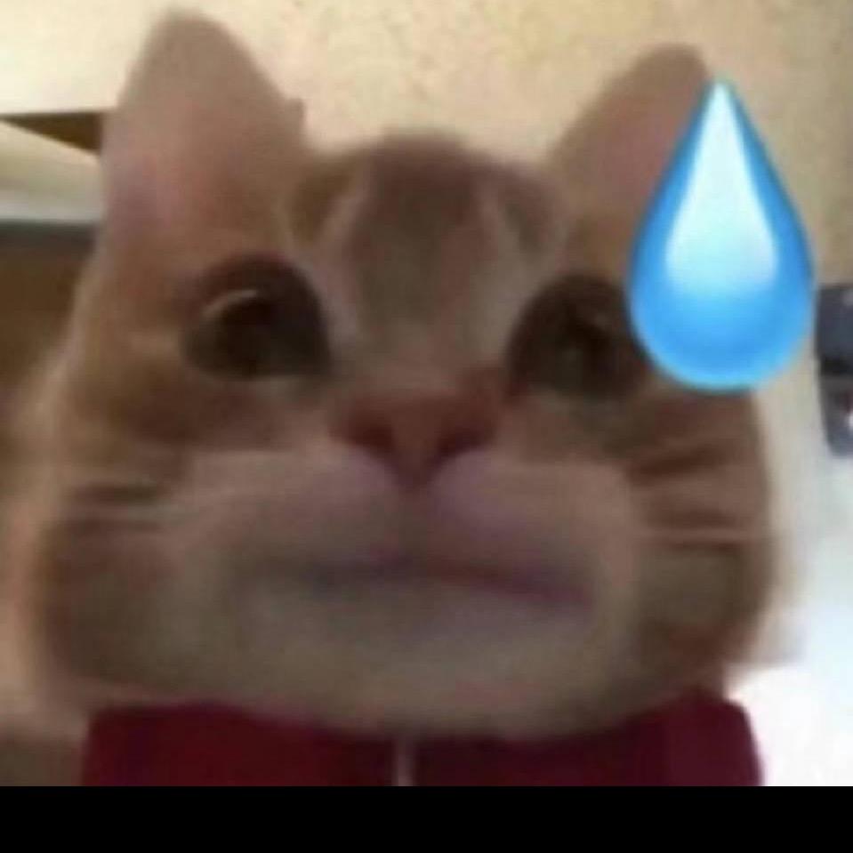kitty-Xu