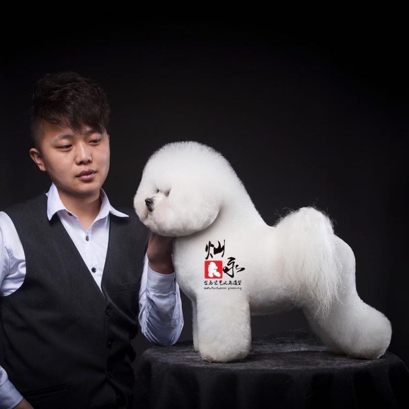 剪狗毛的伊森🐩