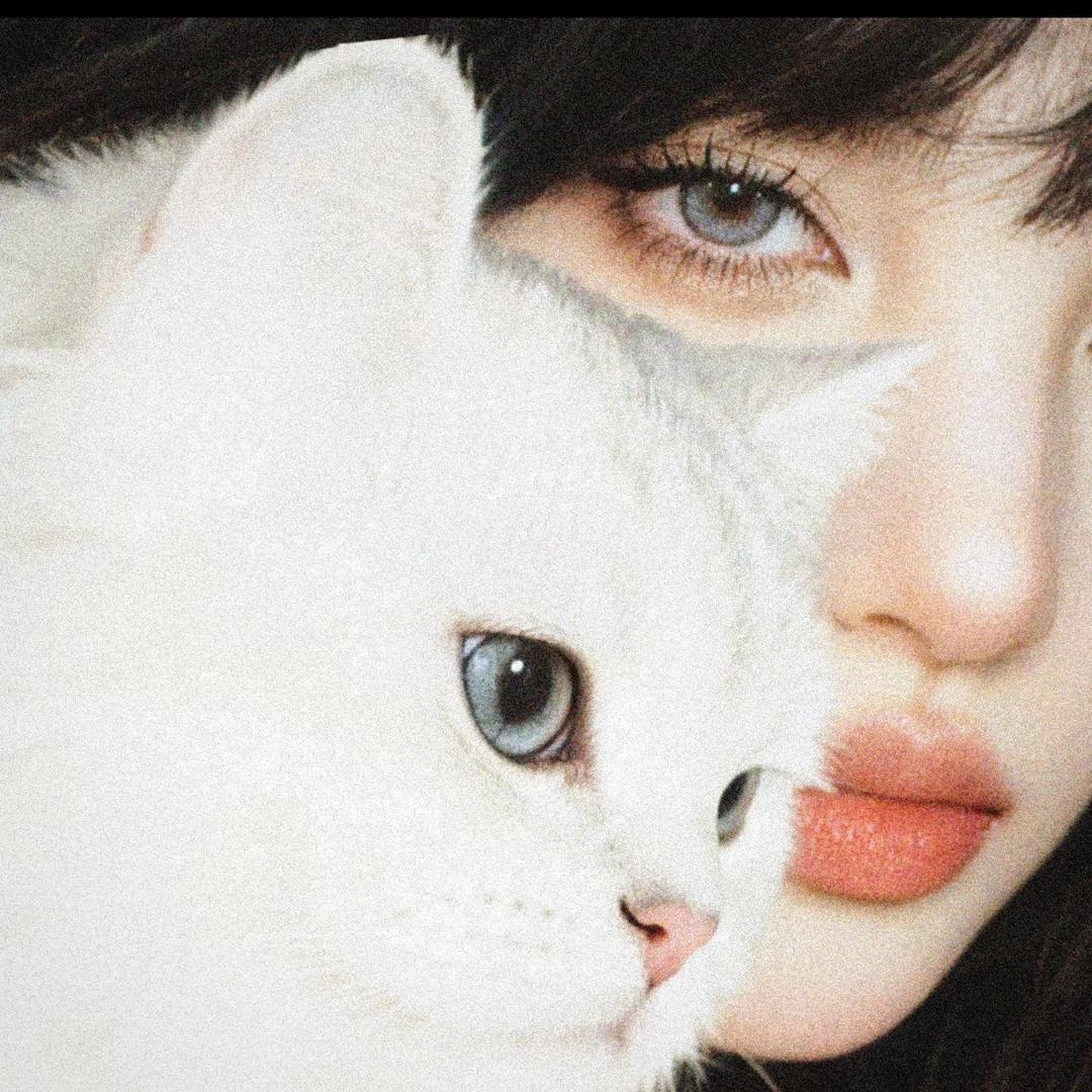 🖤
