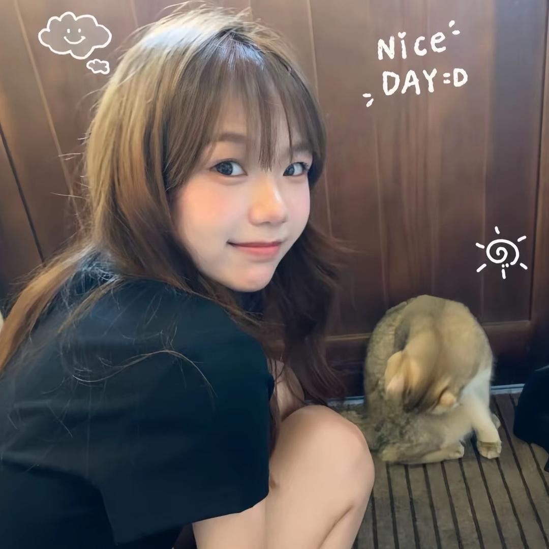 一只小梨涡（拼豆版）