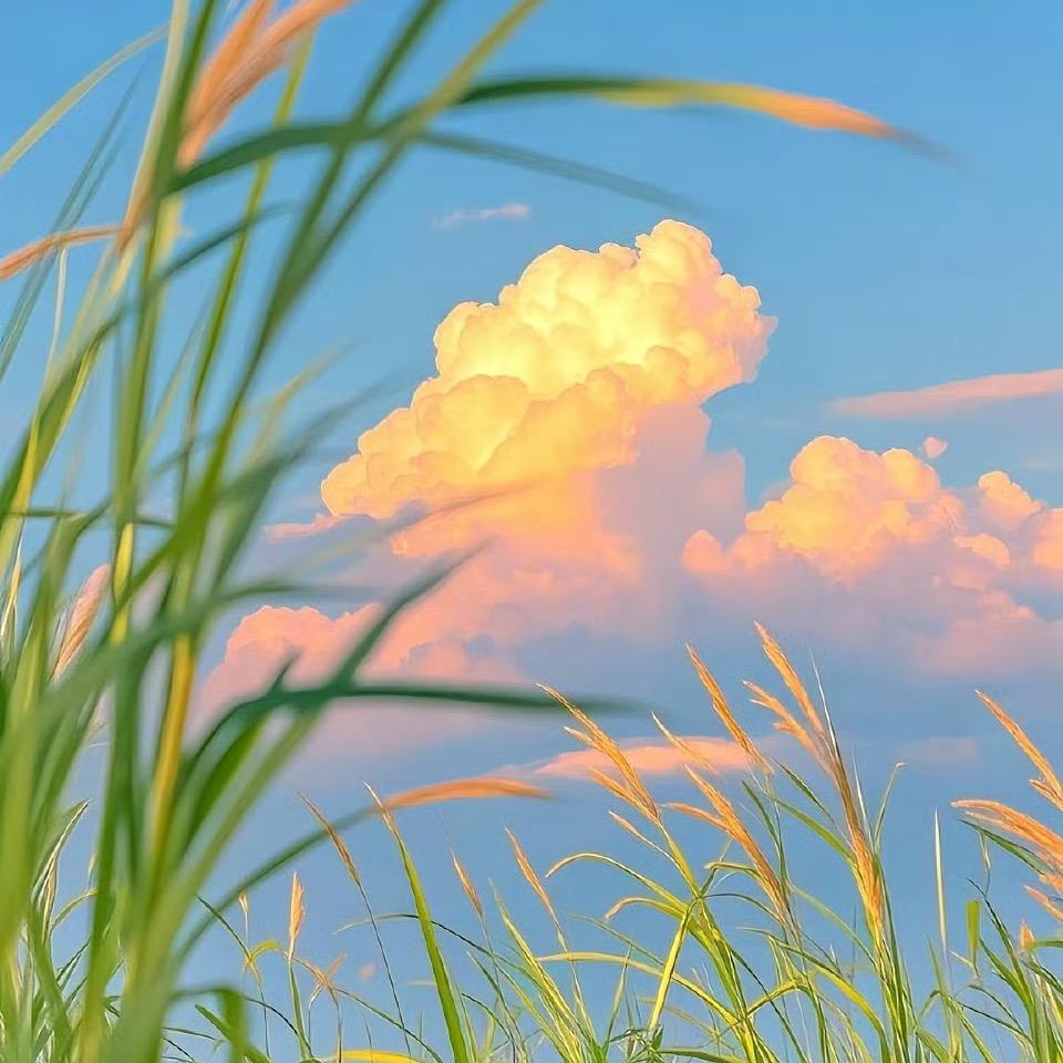 努力努力，加油加油
