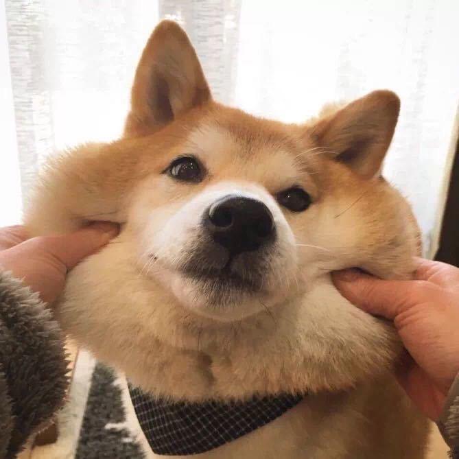 我是欧狸