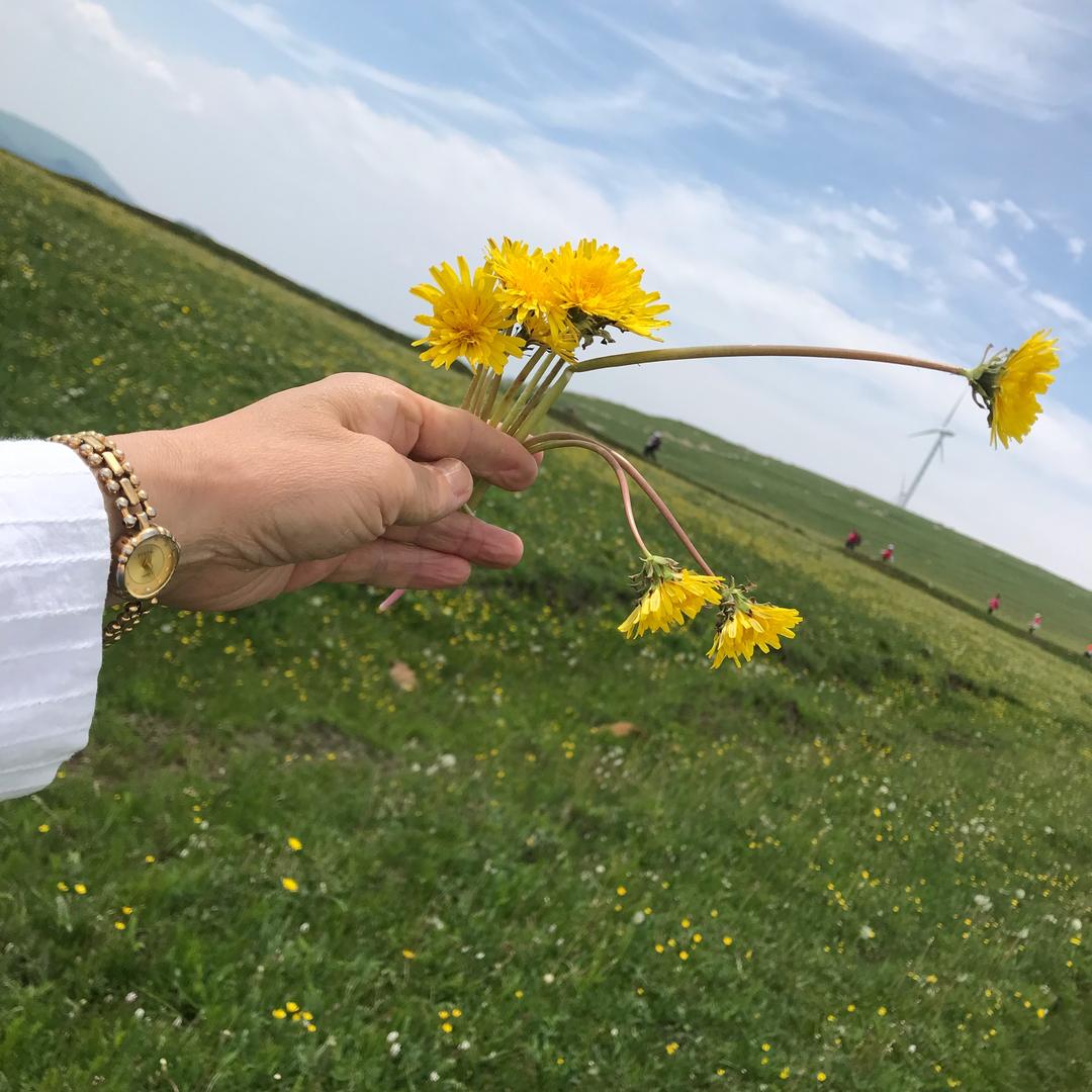 花满楼鲜花礼品
