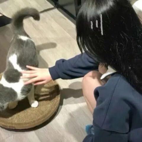 彤宝