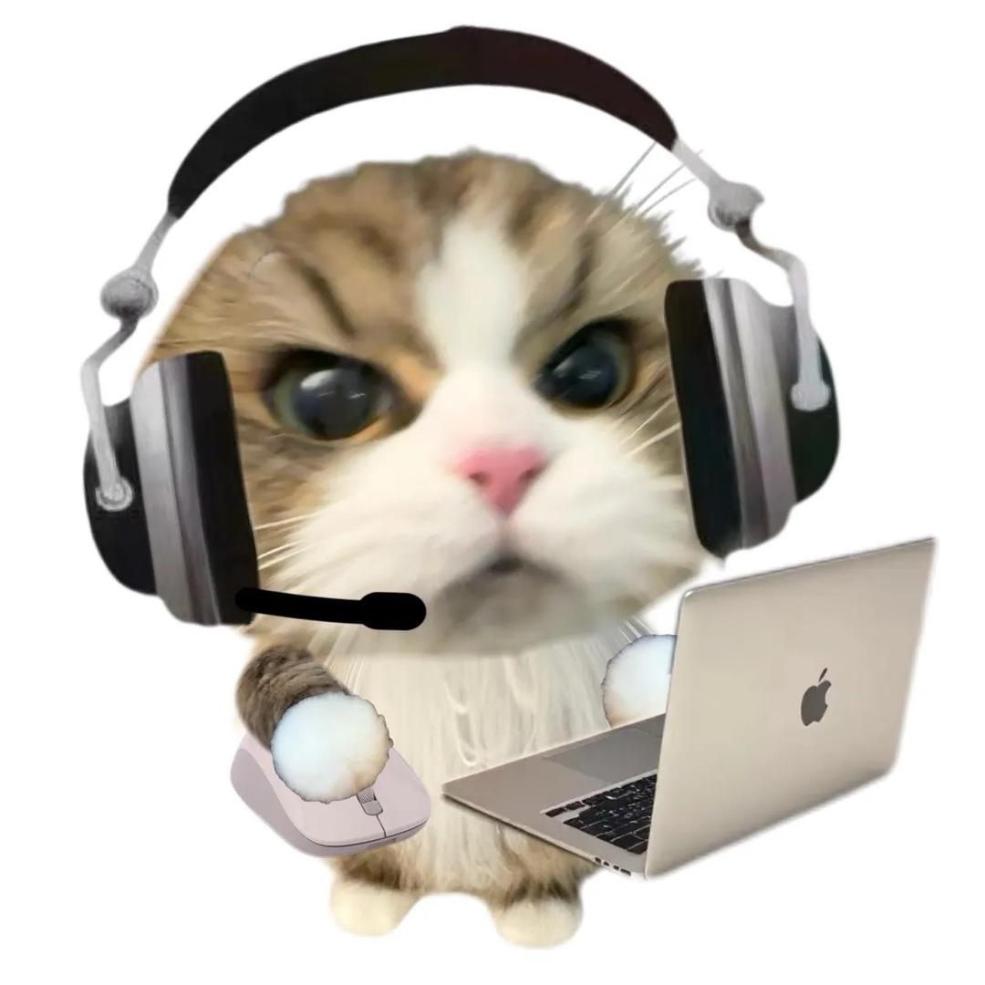 打工猫meme