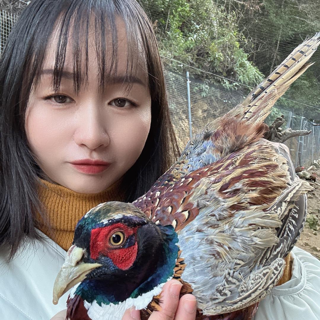 村姑乐乐