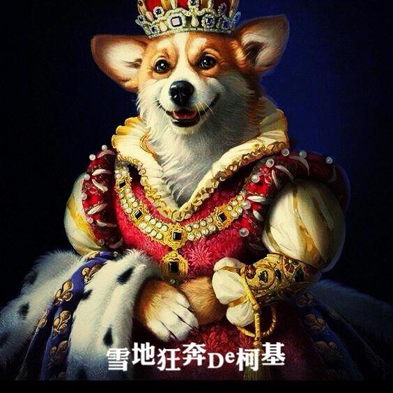 ₯㎕.大师兄🦮🐕‍🦺🐩🐕