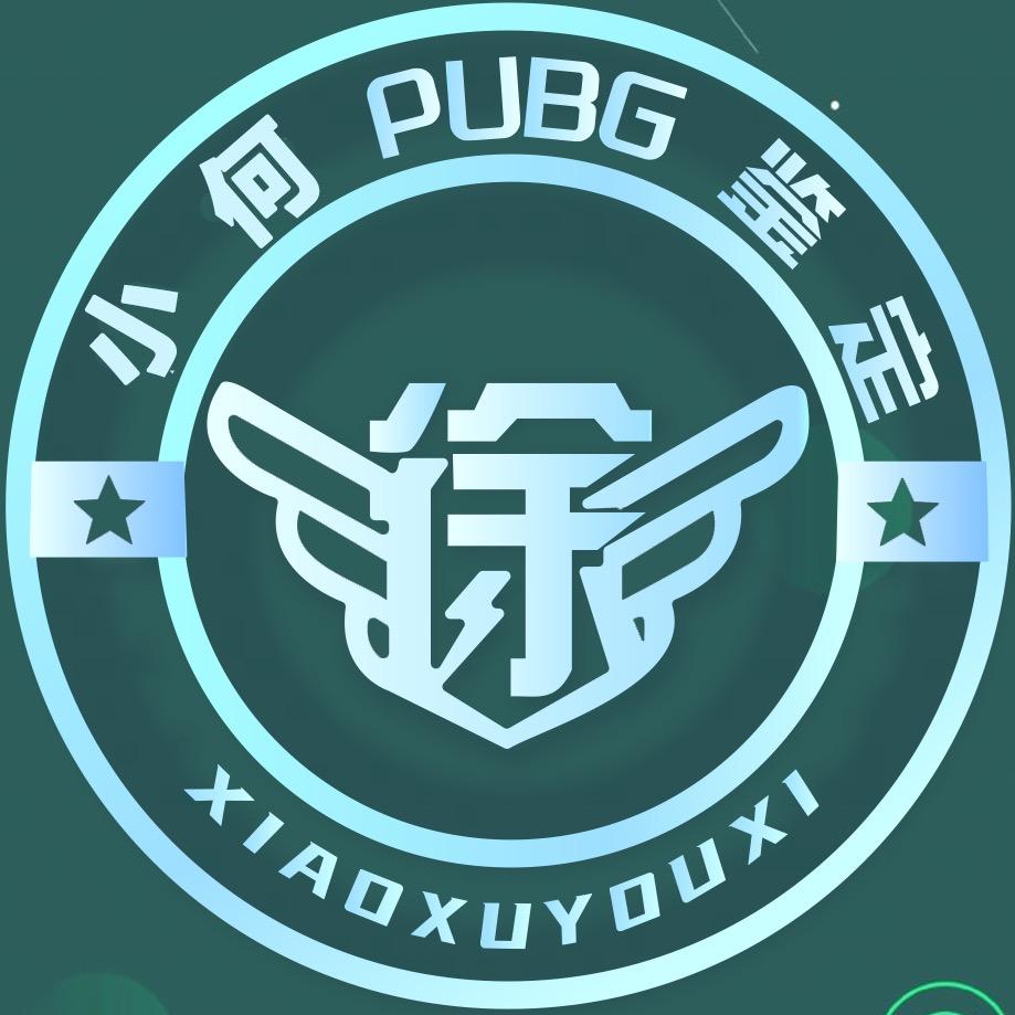 小徐阁-PUBG评估（小何）