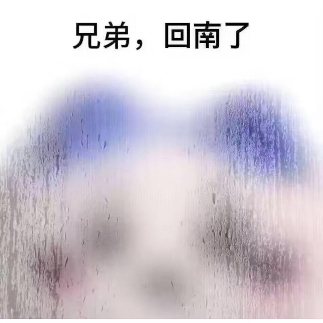 卡丁车柳