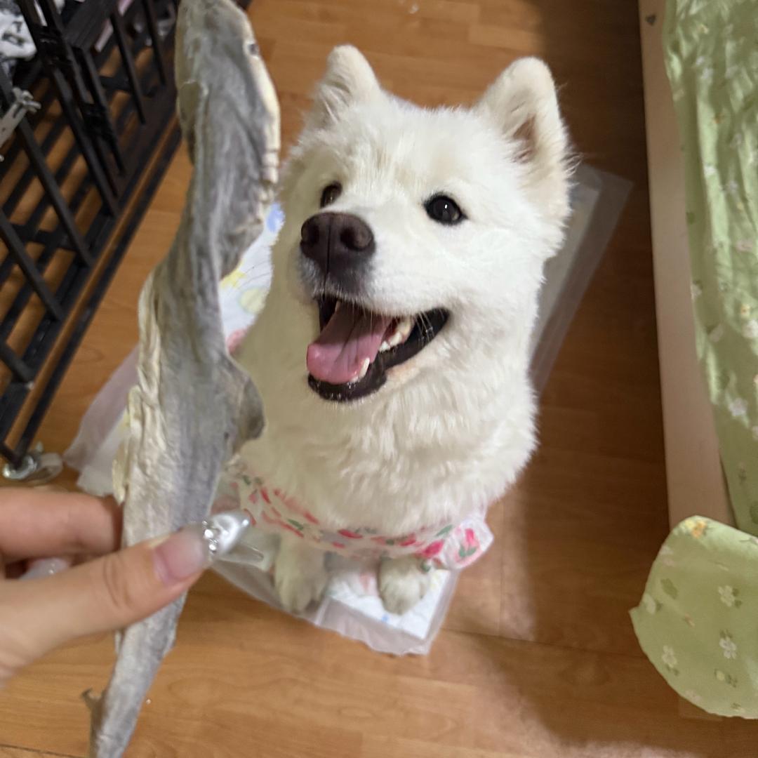 ♡
