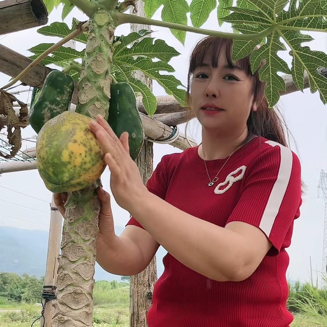 莆田乡下人