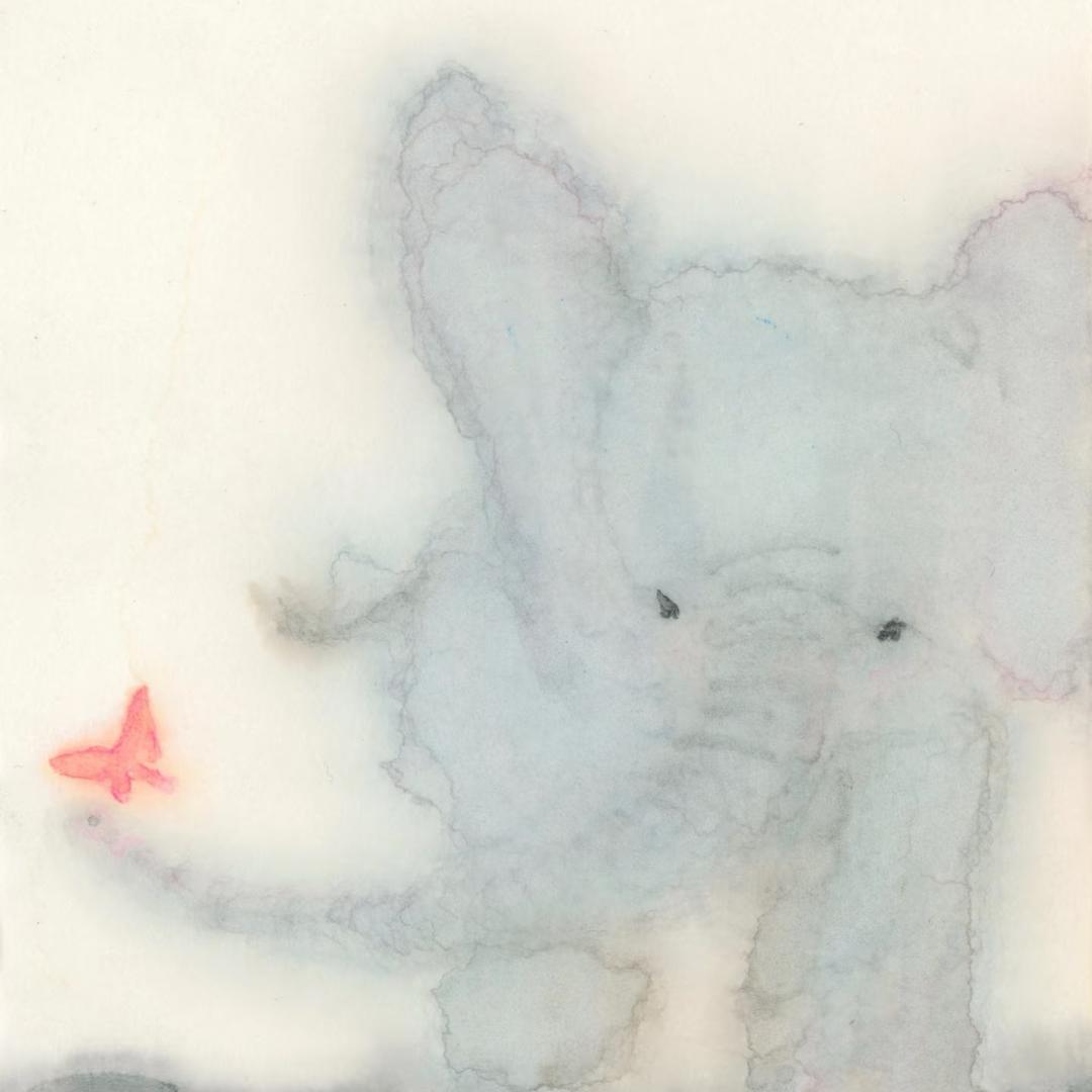 舒芙蕾_