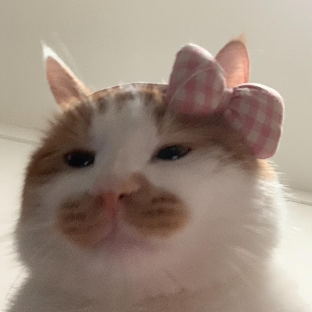 维o