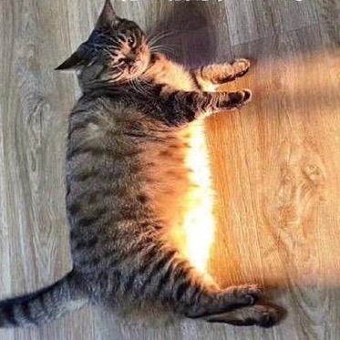 🌈妖舞舞舞舞🌈