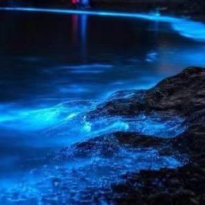 蓝色眼泪💧