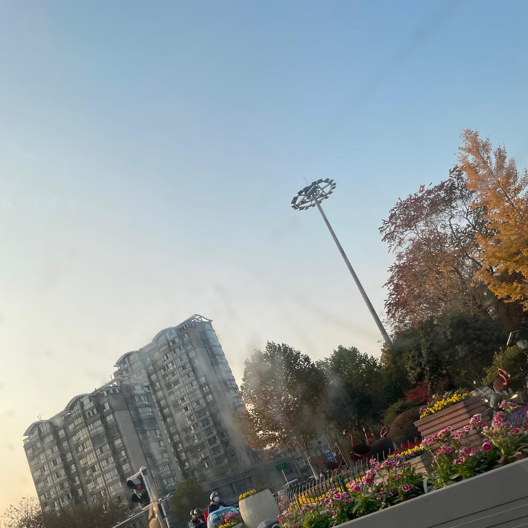 飞扬跋扈的时候