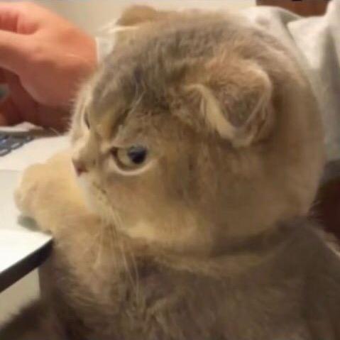 饭香香
