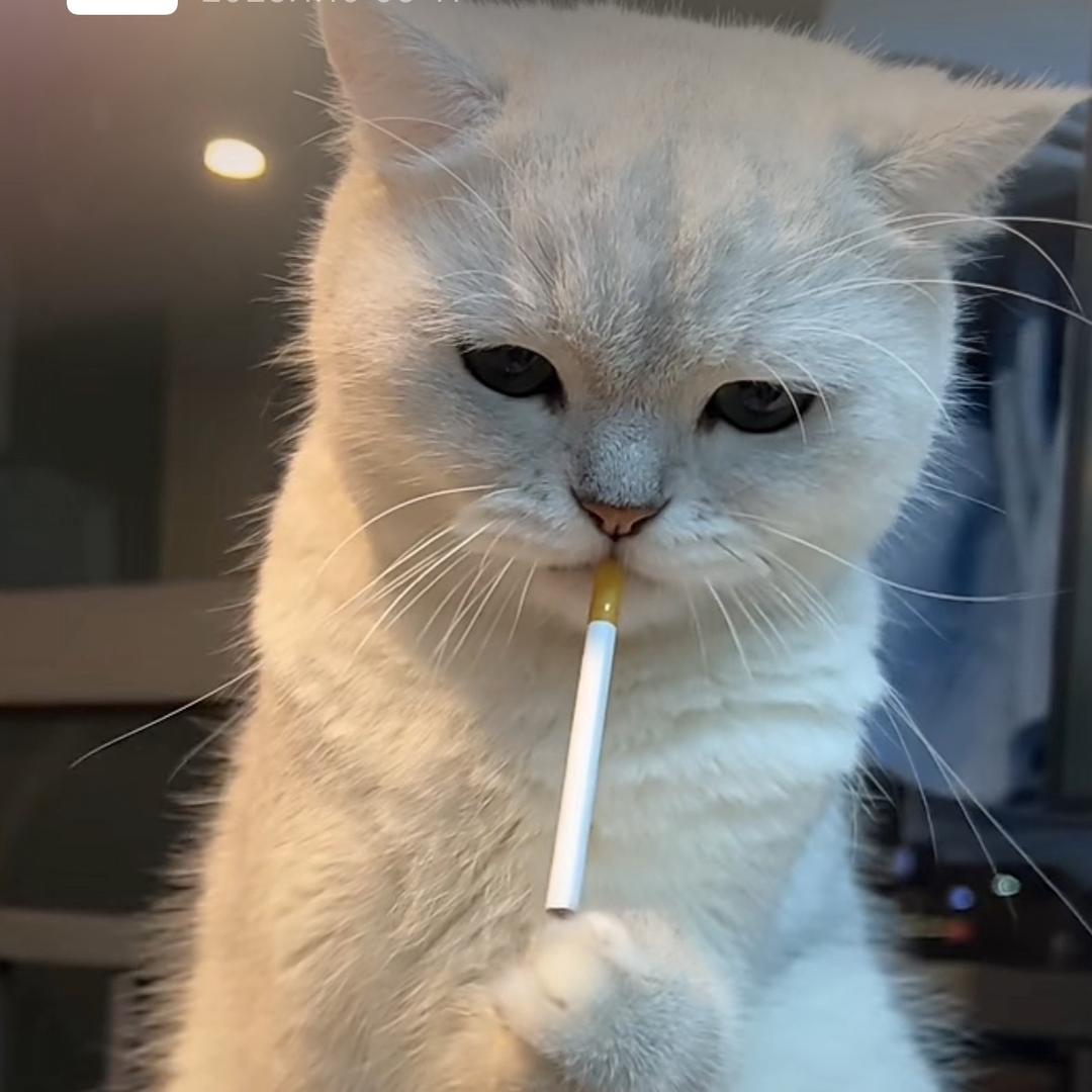 つ〆卩東じò ぴéꦿ໊ོ⁵²⁰