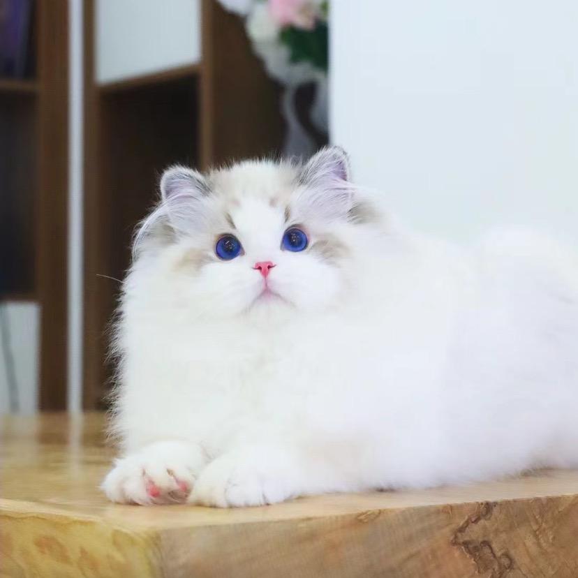 快乐一至上
