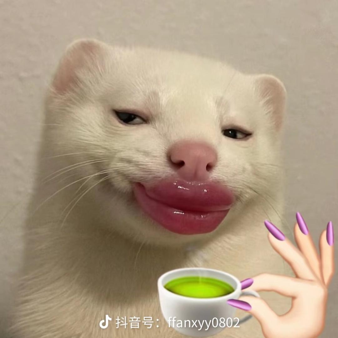 丽丽不爱吃香菜
