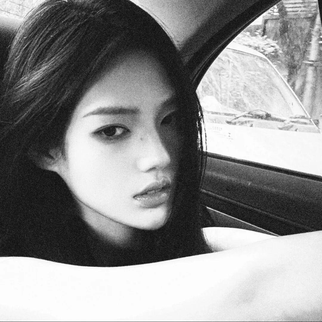 晚安饼干菜菜