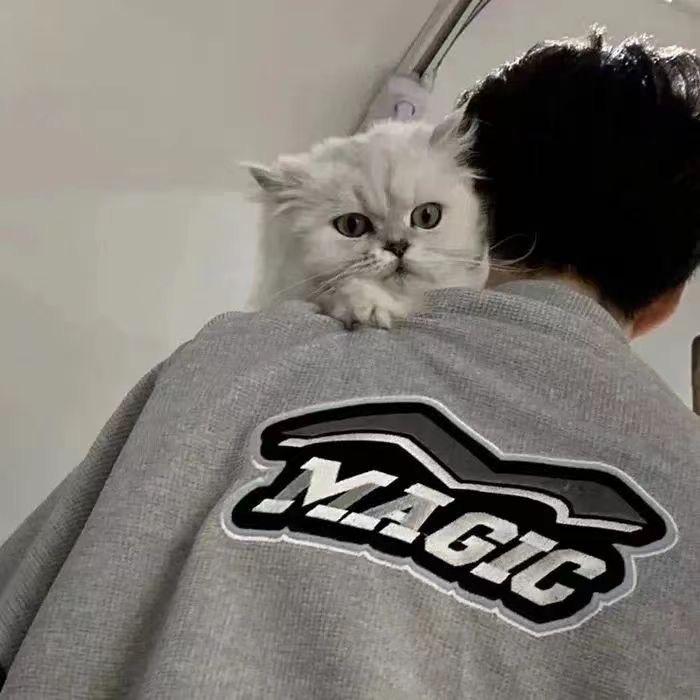 眼镜宅