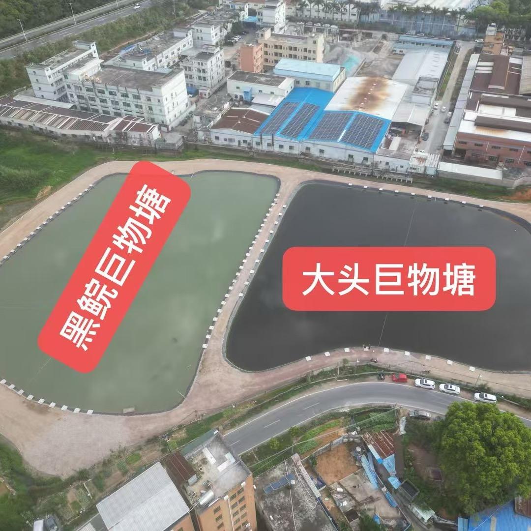 麒麟渔乐垂钓园🎣🎣