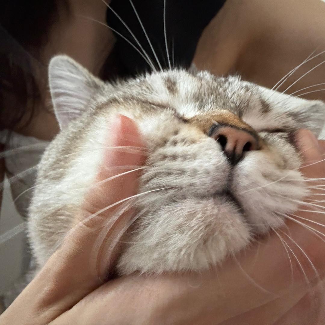 万事如意