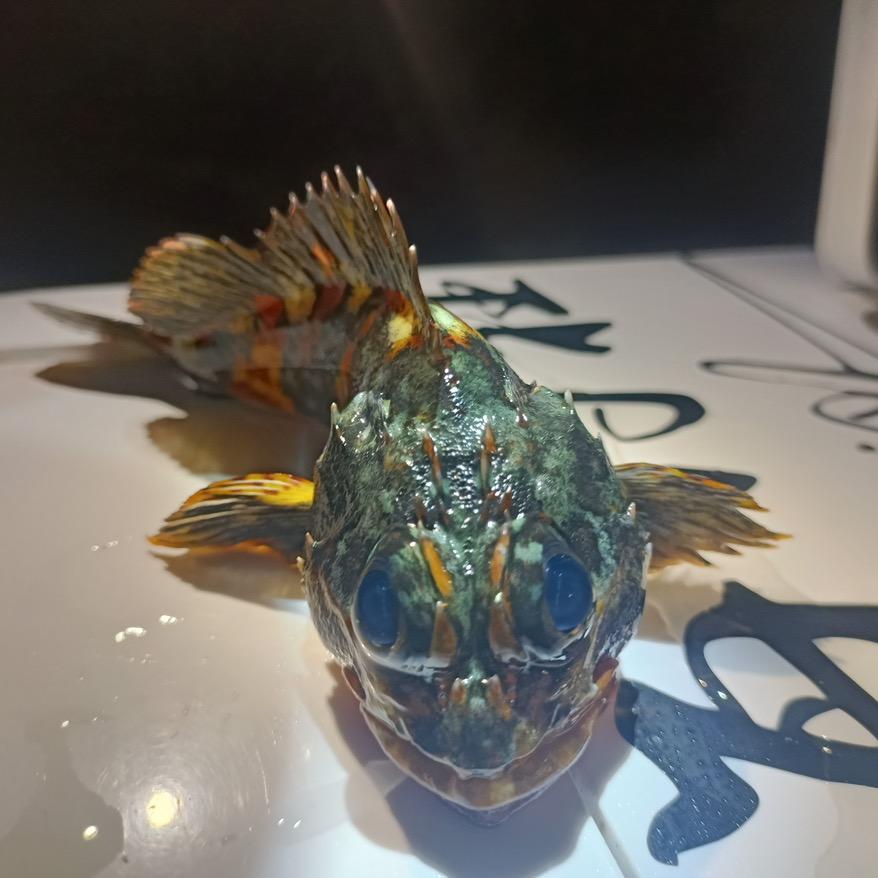 过猴虎～海钓