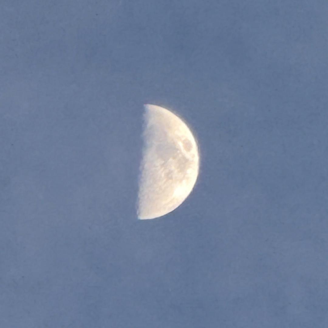 水瓶座♒️丽丽