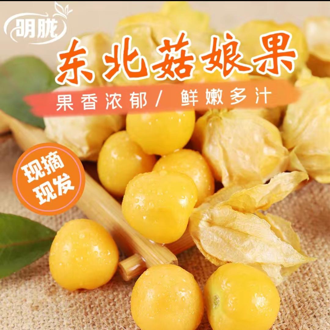 明胧