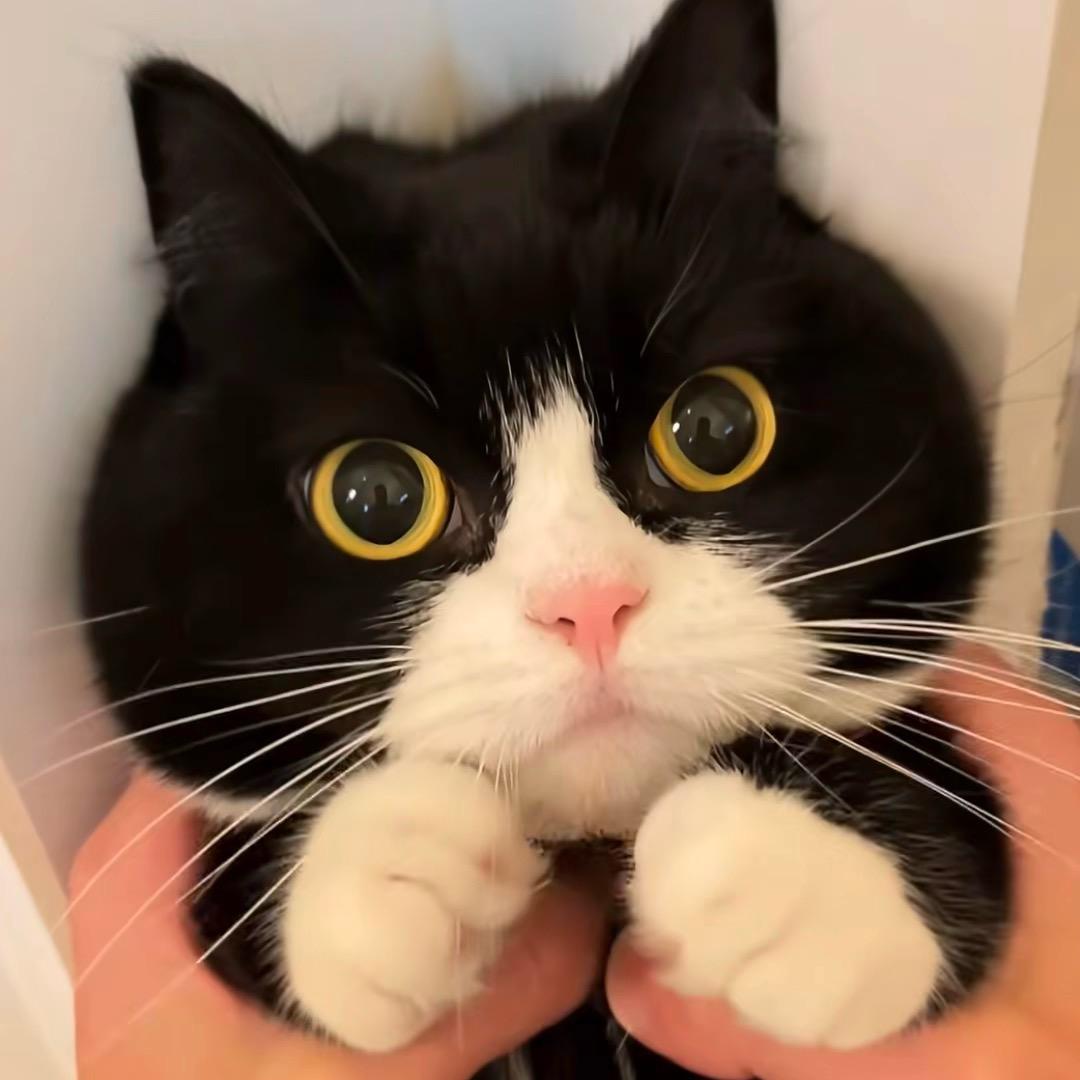 李多鱼🐟🐟🐟🐟