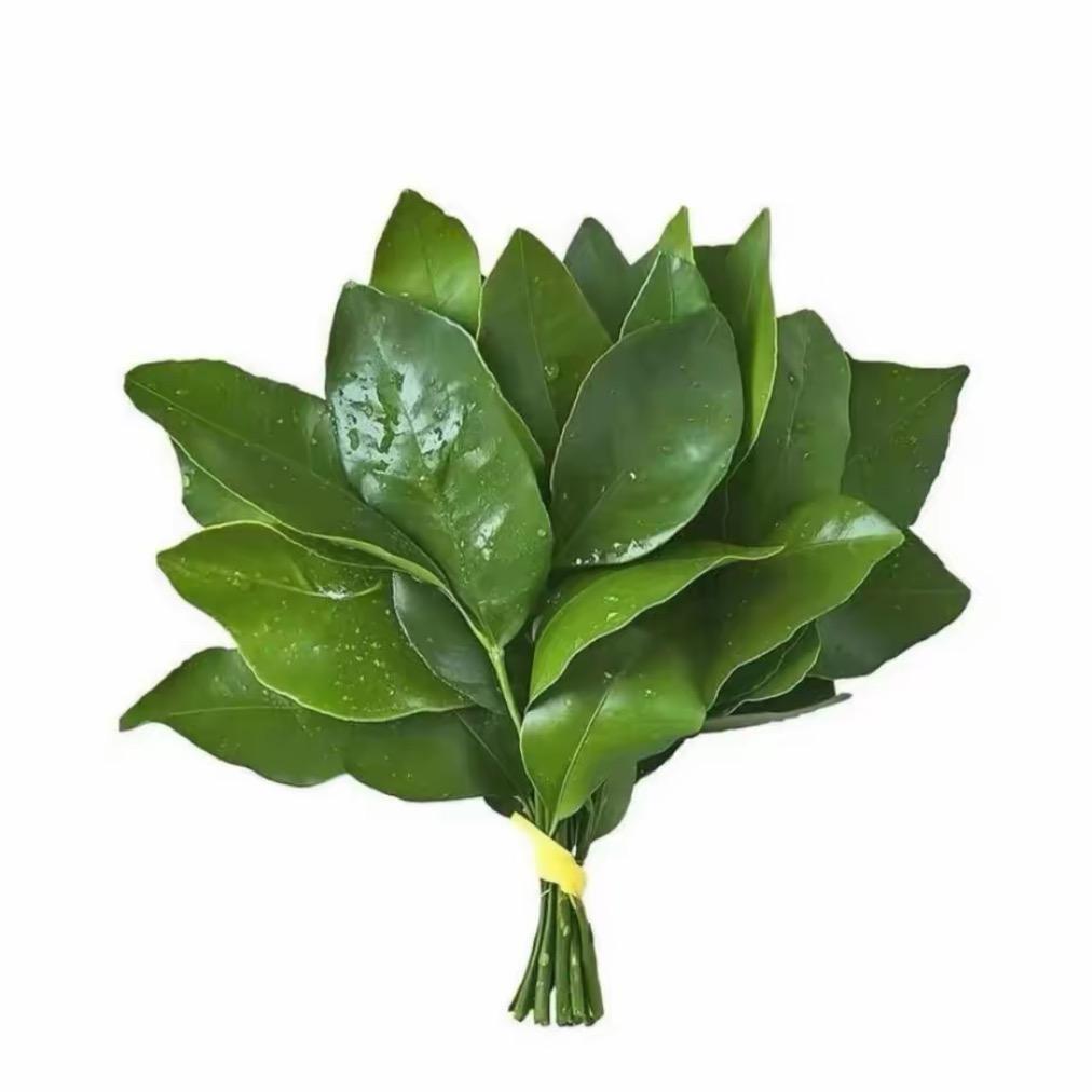 Ttˊ