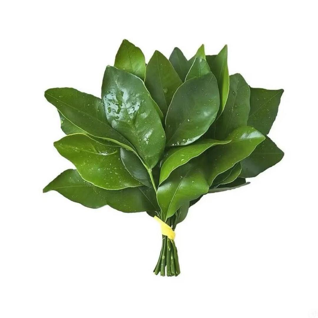 龙龙U
