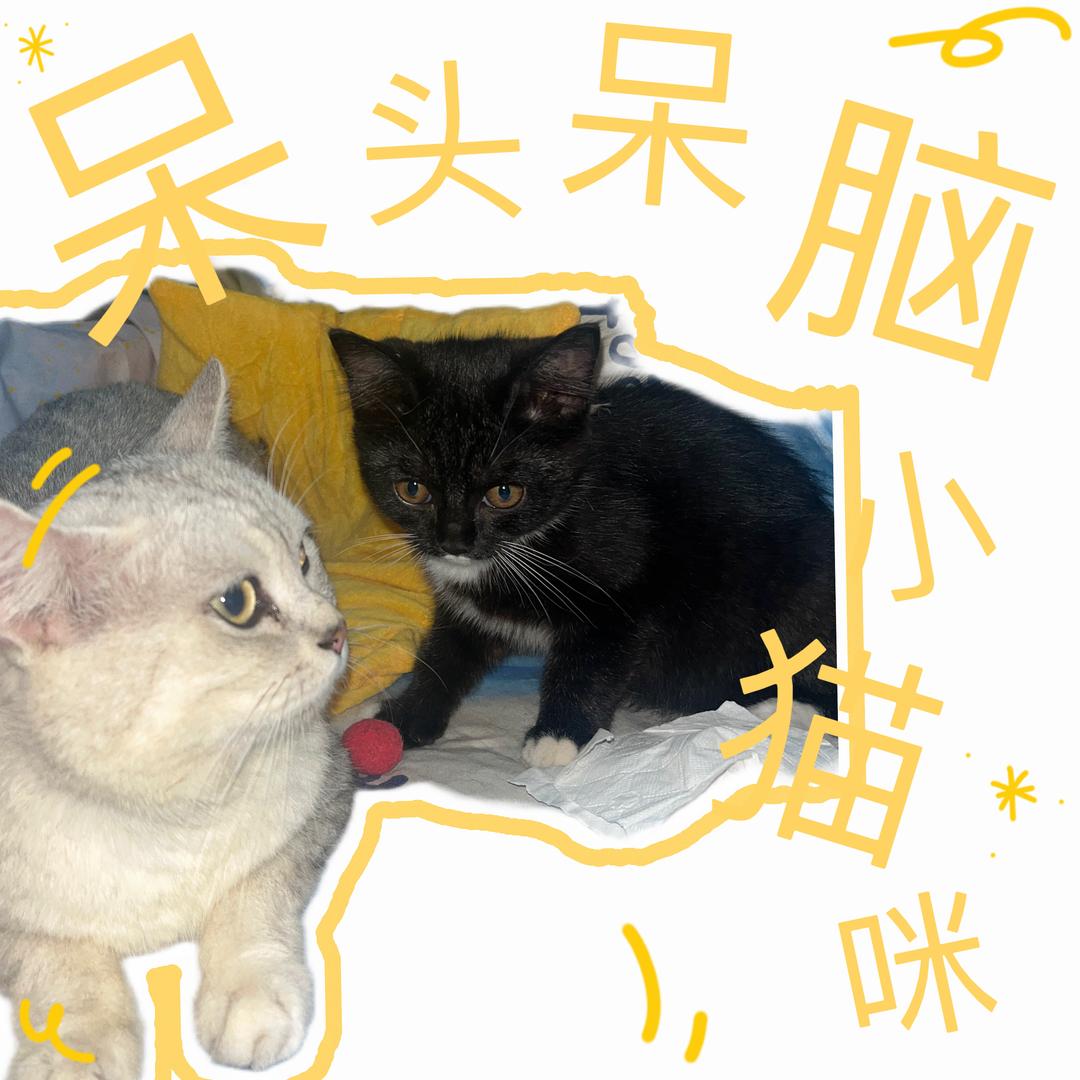 奶瓶🍼和乐堡🍺的快乐小屋