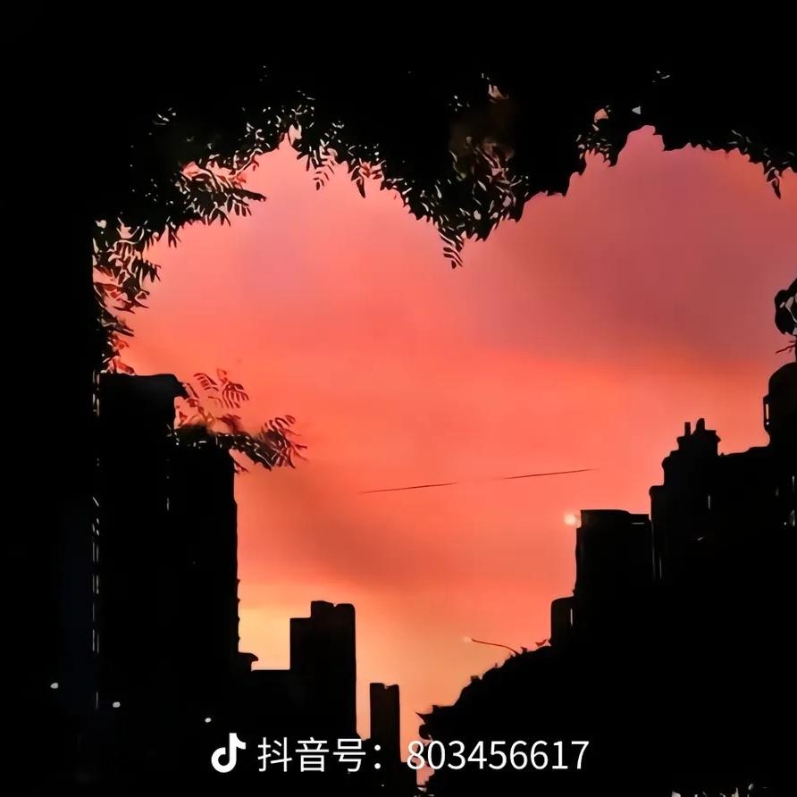 速锐车品
