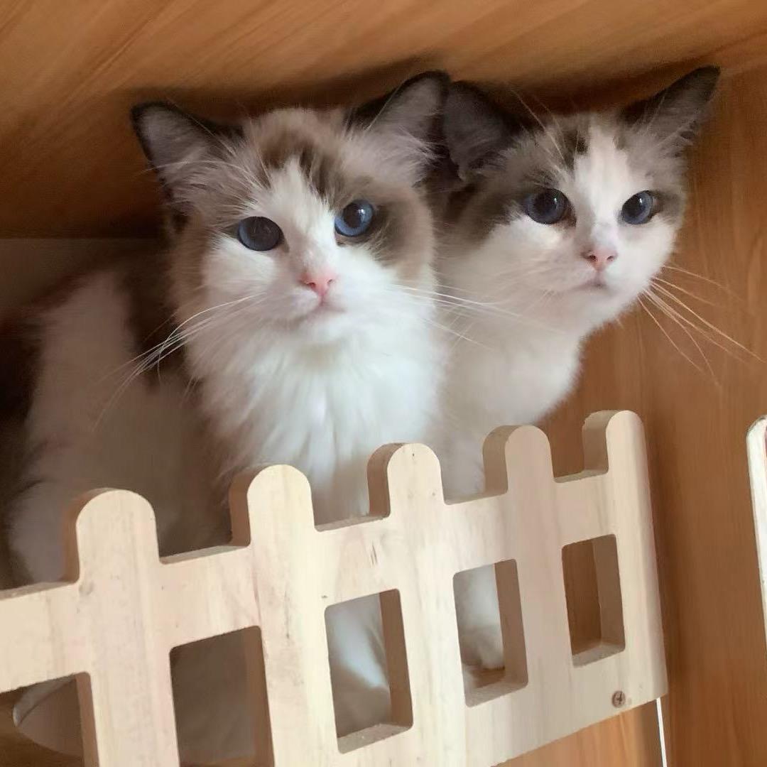 招财进宝等你来找～