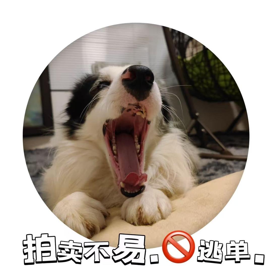 哒哒哒嘟嘟嘟蹦蹦蹦手办社